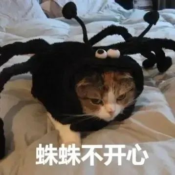 金铲铲有“秒人挂”！鬼魅妖蛛落地顺秒，无限飞天后排噩梦！