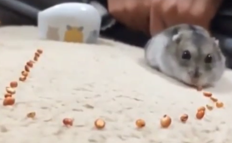 关卡设计六要素，提升游戏体验的一些构想