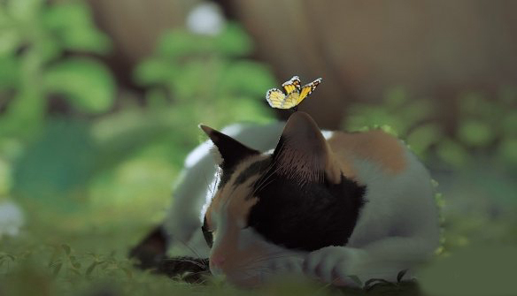 迷失Stray印花布猫SunnyMOD