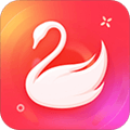 天鹅到家 安卓版v8.8.9.0