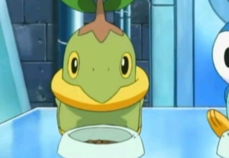 宝可梦:晶灿钻石&明亮珍珠，宝可梦闪耀珍珠