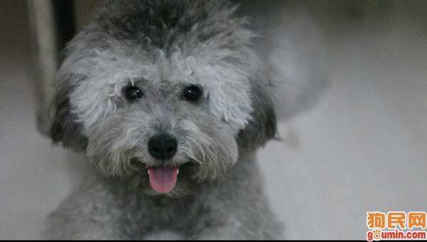 萌的拼图游戏，萌宝小拼图