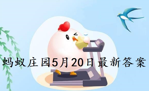 蚂蚁庄园为什么用鹅卵石炒栗子加糖？蚂蚁庄园今天的回答是最新的11.13