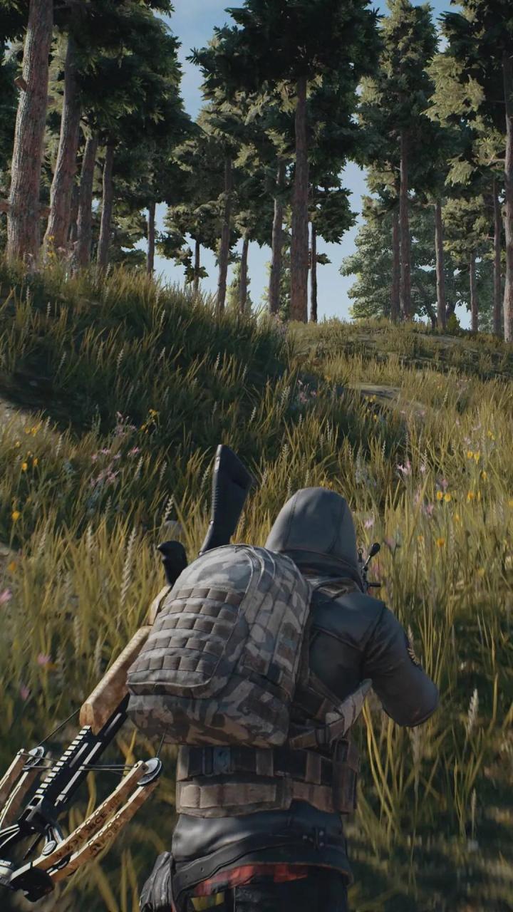 今日壁纸分享 和平精英超清iphone壁纸 还记得最初的小黄衣么