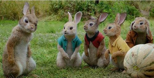 比得兔什么时候上映，比得兔跑酷什么时候出 公测上线时间预告