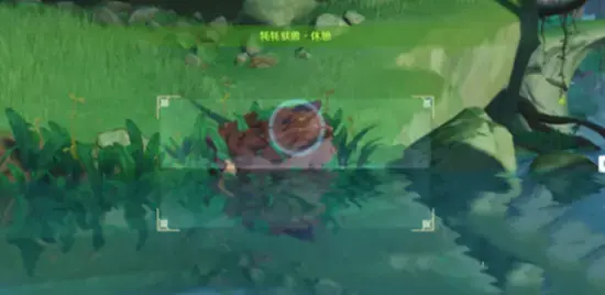 原神如何与动物互动(原神动物怎么捕捉) 原神如何与动物互动(原神动物怎么捕捉)