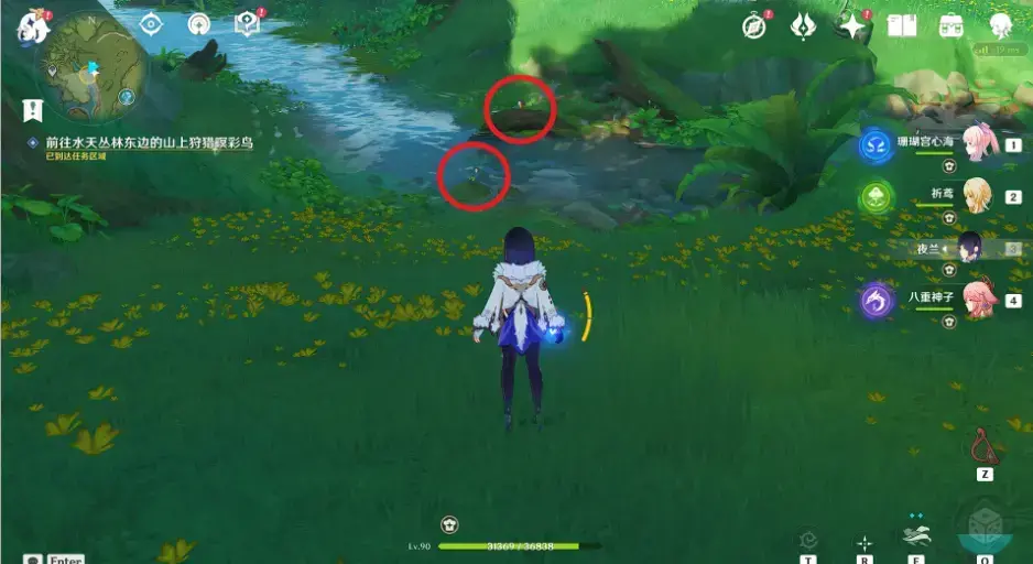 原神与珍稀之鸟的短暂邂逅任务图文攻略大全(原神飞鸟任务)