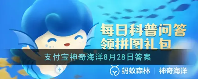 贝类学试题(在贝类生物中因体型巨大有贝王之称的是什么生物)