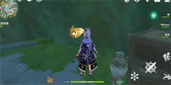 原神须弥山主城宝箱全攻略