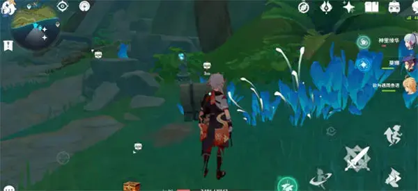 原神须弥山水下锚点解锁详细攻略