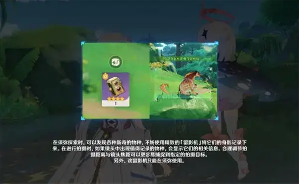 如何完成原神雕童心前置任务？