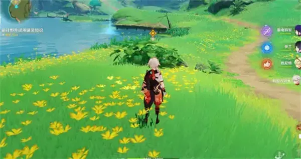 如何完成近在咫尺的原神的目标和任务? 如何完成近在咫尺的原神的目标和任务?