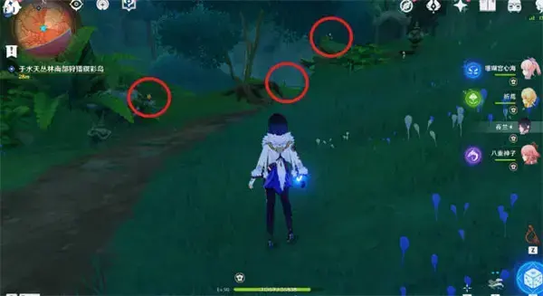 原神与珍禽短暂相遇的触发及详细策略