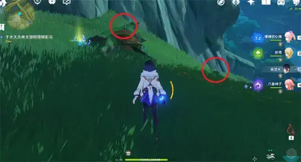 原神与珍禽短暂相遇的触发及详细策略