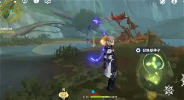 原始神圣森林徒步旅行详细攻略