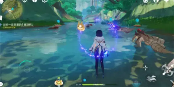 原始神圣森林徒步旅行详细攻略