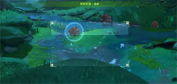 原神动物行为拍摄地全集