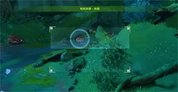 原神动物行为拍摄地全集