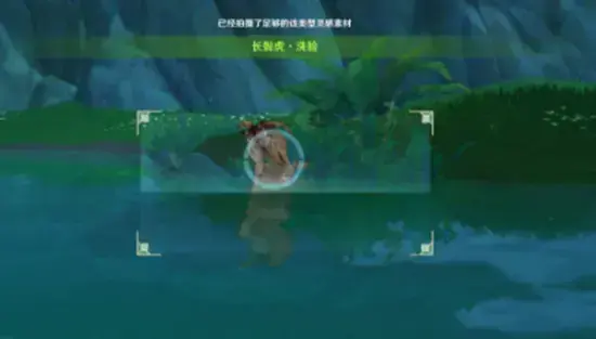 原神如何与动物互动(原神动物怎么捕捉) 原神如何与动物互动(原神动物怎么捕捉)