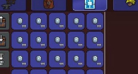 泰拉瑞亚灾厄图片1