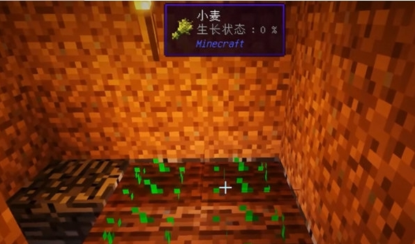 我的世界饥饿改革模组