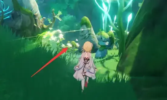 原神-水-天书石的记忆任务策略——如何点亮石头的记忆