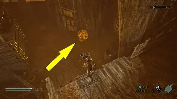 无边的树海在哪关(树海任务攻略)