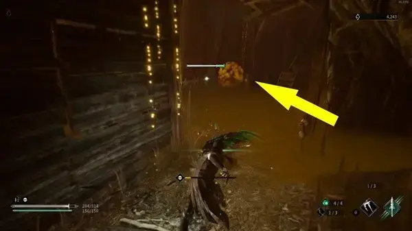 无边的树海在哪关(树海任务攻略)