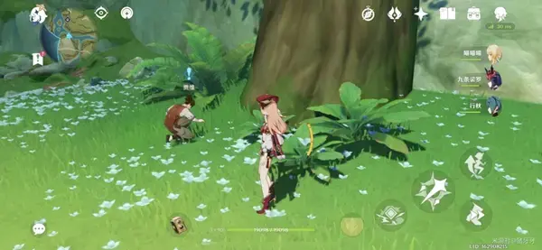 原神留念镜任务(原神趁鲜花气息逗留怎么完成) 原神留念镜任务(原神趁鲜花气息逗留怎么完成)