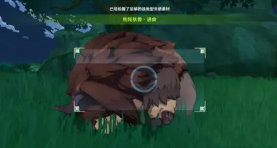 原神如何与动物互动(原神动物怎么捕捉) 原神如何与动物互动(原神动物怎么捕捉)