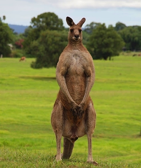 迅雷仓电影下载|最强大的iOS电影下载工具已经上线，免费不限速，秒杀迅雷！