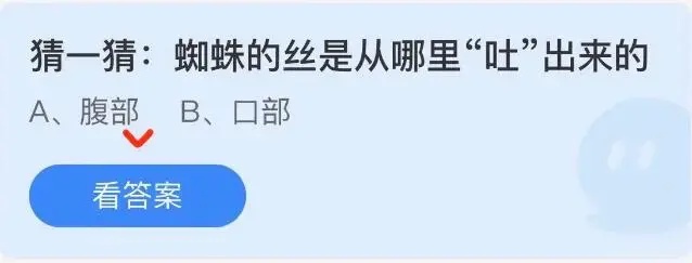 蜘蛛的丝是从哪里吐出来(蜘蛛的丝是从哪里吐出的)