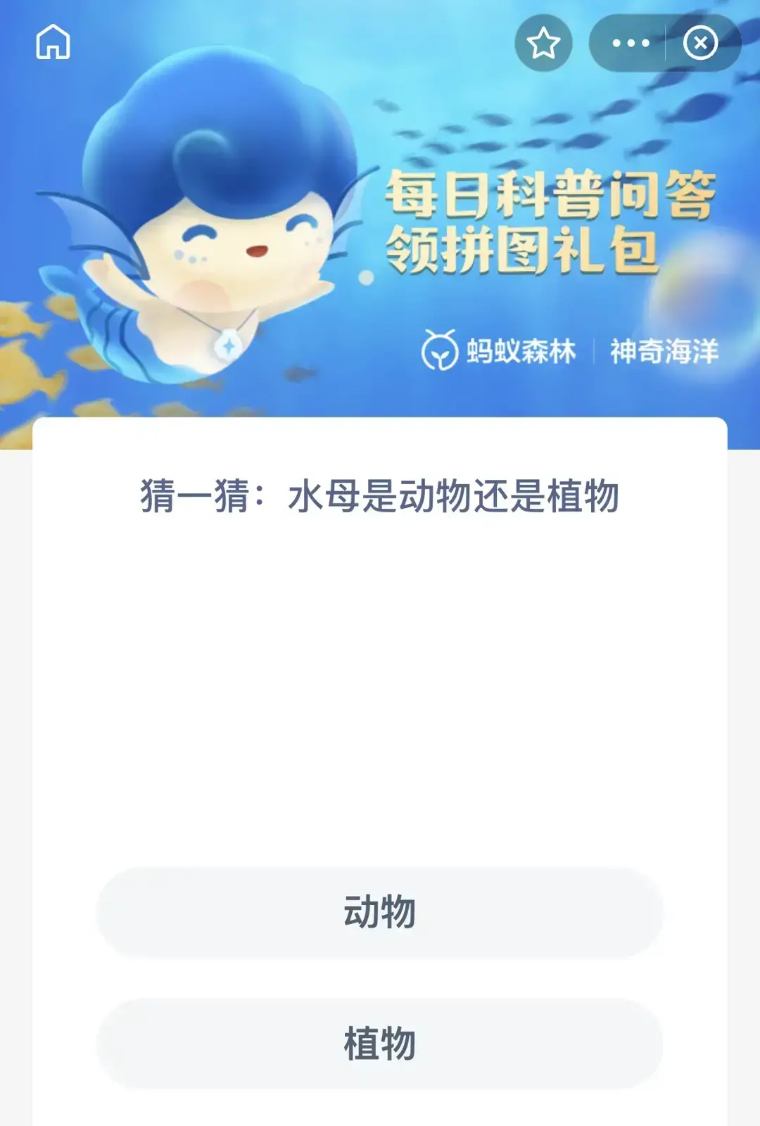 狮鬃水母是不是海洋中最大的生物(什么海洋生物和水母一样游泳的)