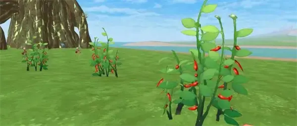 创造与魔法辣椒分布图最新(创造与魔法辣椒位置图2020)