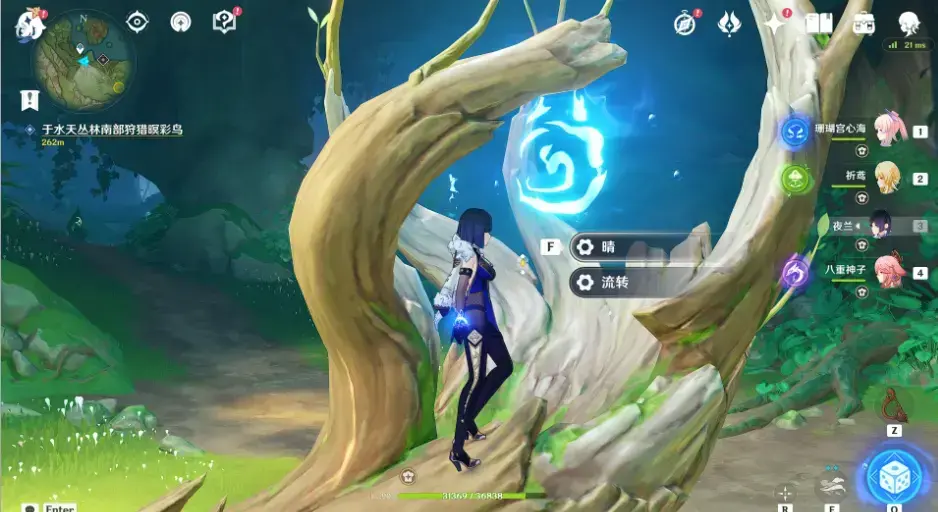 原神与珍稀之鸟的短暂邂逅任务图文攻略大全(原神飞鸟任务)