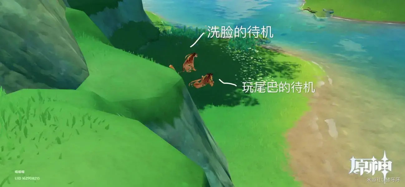 原生动物行为介绍-什么是动物行为? 原生动物行为介绍-什么是动物行为?