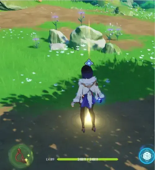 原神椿任务怎么完成(原神如何完成山中植物任务) 原神椿任务怎么完成(原神如何完成山中植物任务)