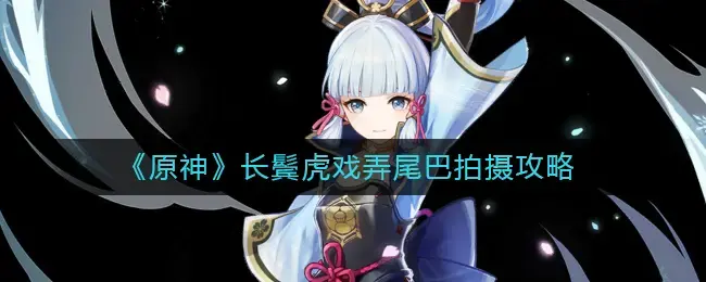 原长鬓角老虎逗尾巴的拍摄策略——如何拍摄长鬓角老虎逗尾巴