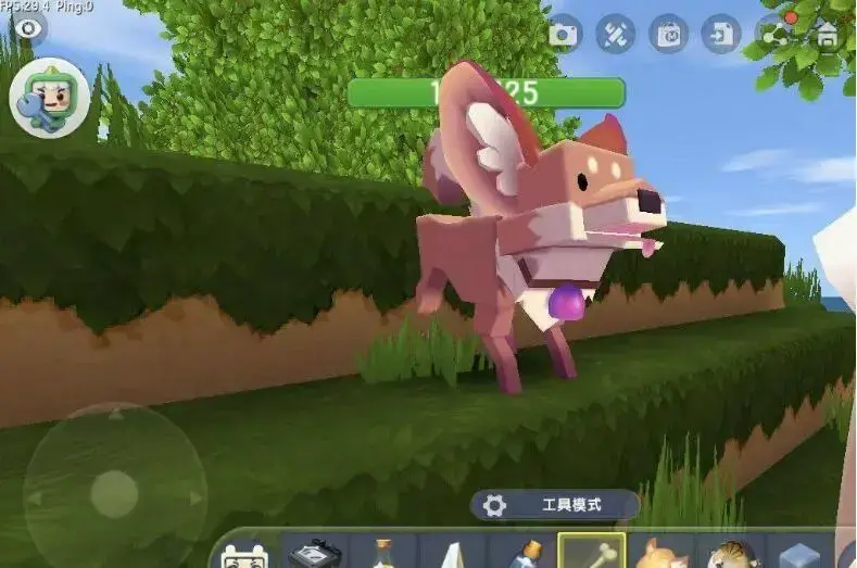 迷你世界如何驯服(在迷你世界中如何驯服) 迷你世界如何驯服(在迷你世界中如何驯服)