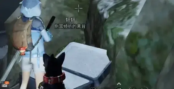 明日之后远星城探索宝箱具体位置(明日之后海岛宝箱的具体位置)