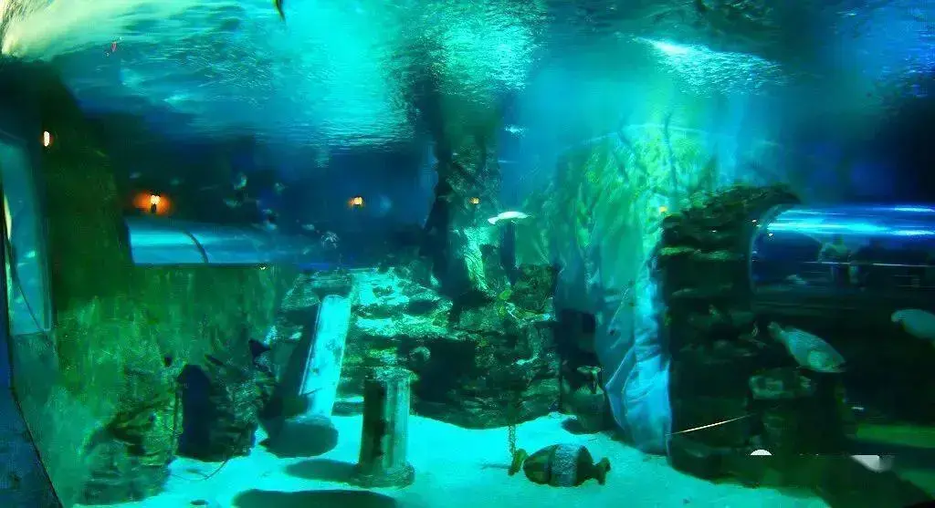 大白鲨游戏下载|超级大白鲨官方游戏特色