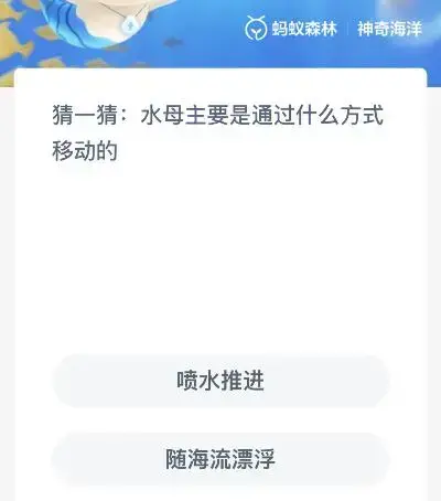 水母主要通过什么方式进行活动(水母是怎么移动的)