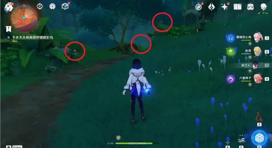 原神与珍稀之鸟的短暂邂逅任务图文攻略大全(原神飞鸟任务)