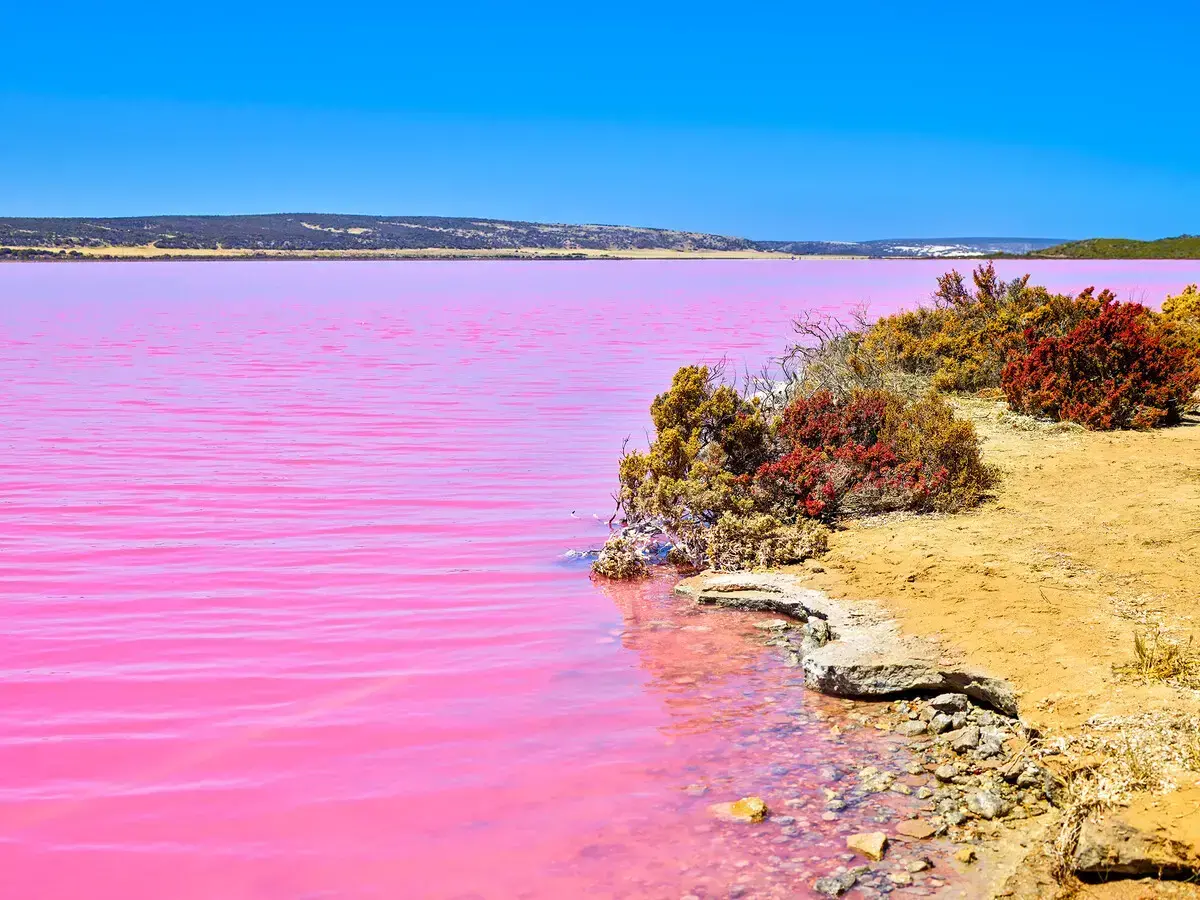 粉红回忆|在粉红湖中取回一颗闪闪发光的女孩的心