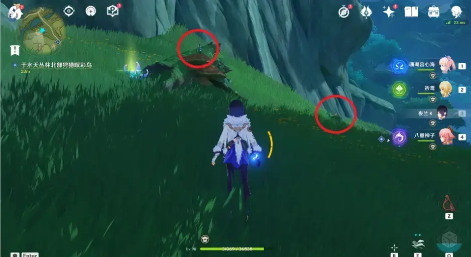 原神与珍稀之鸟的短暂邂逅任务图文攻略大全(原神飞鸟任务)