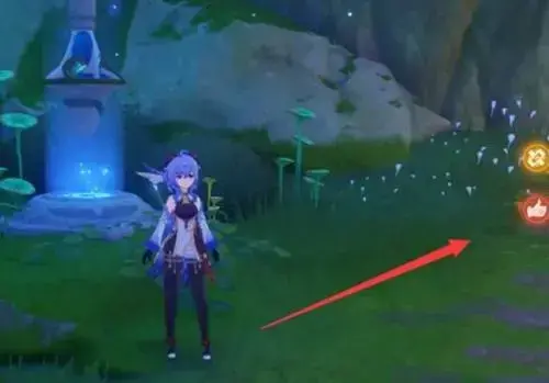 原神塞西莉亚苗圃只找到三个幽灵(原神塞西莉亚苗圃最后一个精灵在哪里)
