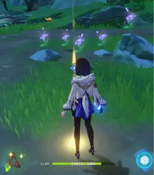 原神椿任务怎么完成(原神如何完成山中植物任务) 原神椿任务怎么完成(原神如何完成山中植物任务)