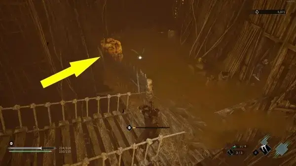 无边的树海在哪关(树海任务攻略)