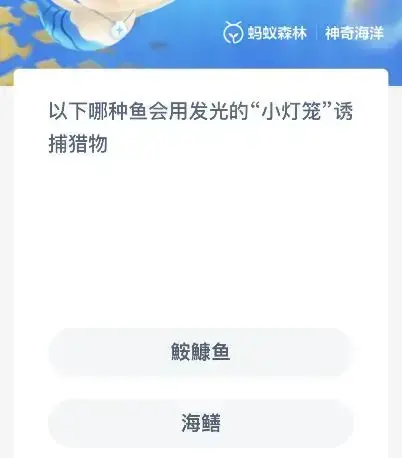 以下哪种鱼会用发光的小灯笼诱捕猎物呢(灯笼鱼发光的地方叫什么)
