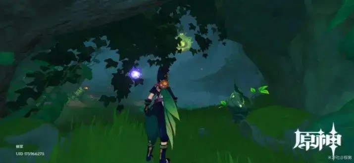 原神密藏屏障怎么进去(原神无相之火旁的屏障怎么解锁) 原神密藏屏障怎么进去(原神无相之火旁的屏障怎么解锁)